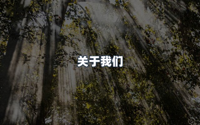 团队合作